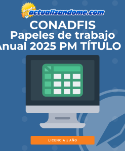 Papeles de trabajo Anual 2025 PM TÍTULO II- CONADFIS